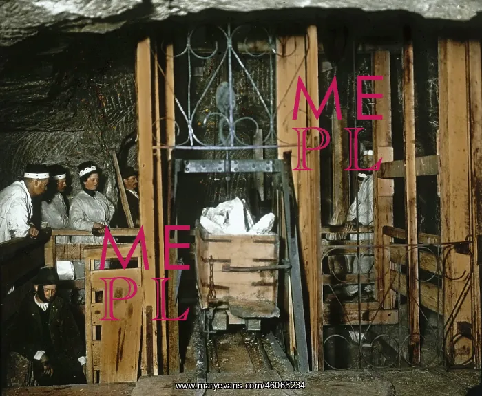 : The salt mine of Hallstatt : The salt mine of Hallstatt