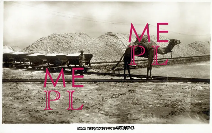 : The Salt Works, Aden, Yemen : The Salt Works, Aden, Yemen