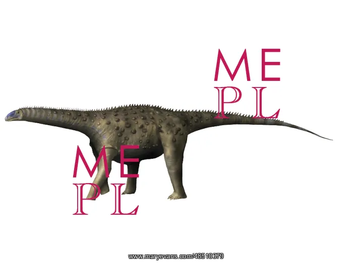 : Saltasaurus dinosaur : Saltasaurus dinosaur