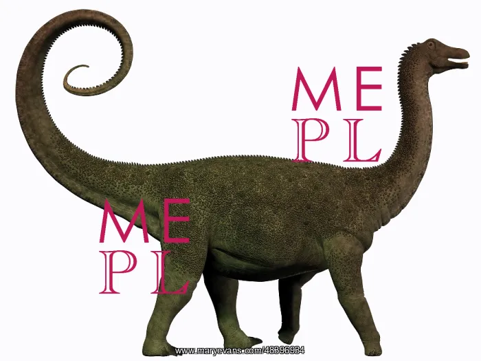 : Saltasaurus was a sauropod dinosaur of the Cretaceous ? : Saltasaurus was a sauropod dinosaur of the Cretaceous ?