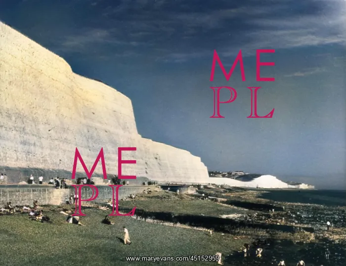 : SALTDEAN CHALK CLIFFS : SALTDEAN CHALK CLIFFS
