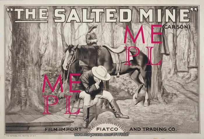 : The Salted mine (Carson) : The Salted mine (Carson)