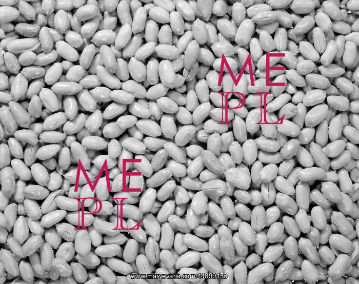  : Salted Peanuts Retro
