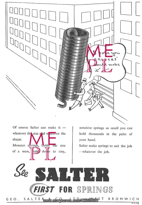  : Salter Springs