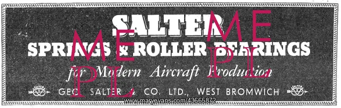 : Salter Springs & Roller Bearings : Salter Springs & Roller Bearings