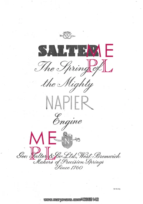  : Salters Springs