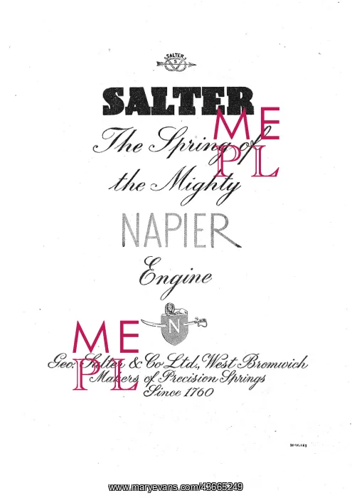  : Salters Springs