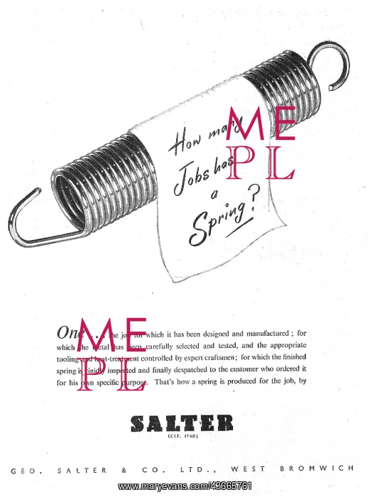  : Salter's Springs