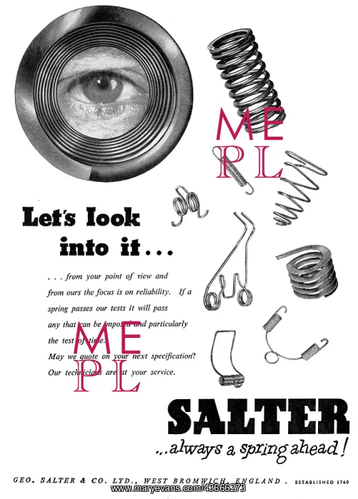 : Salter's Springs : Salter's Springs