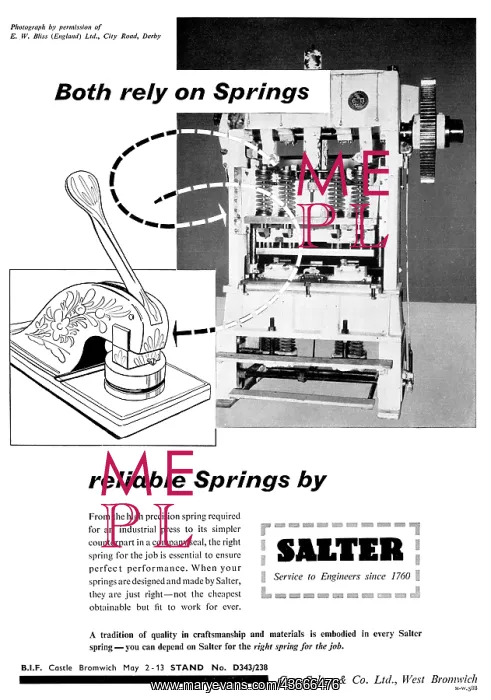 : Salter's Springs : Salter's Springs