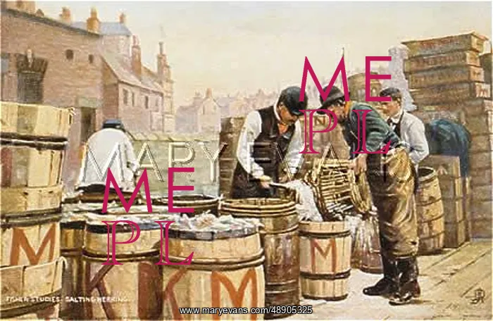  : SALTING HERRINGS C1905