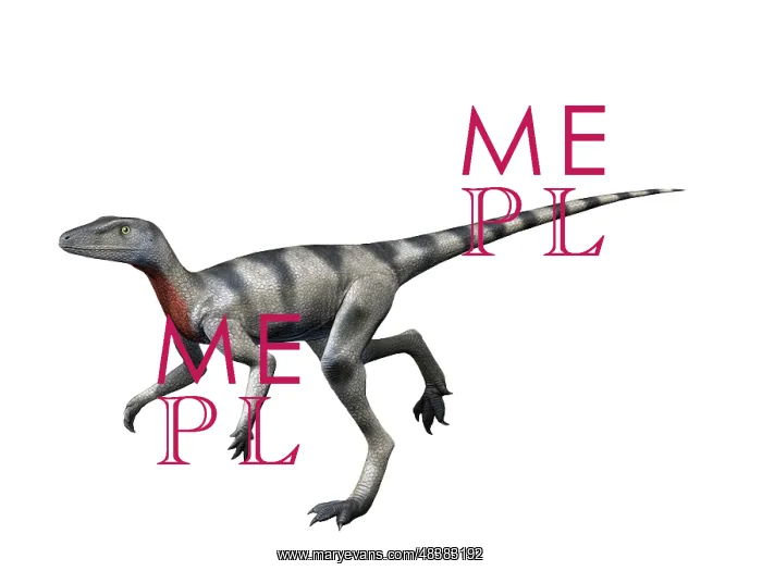 : Saltopus is an extinct dinosaur from the Late Triassic of ? : Saltopus is an extinct dinosaur from the Late Triassic of ?