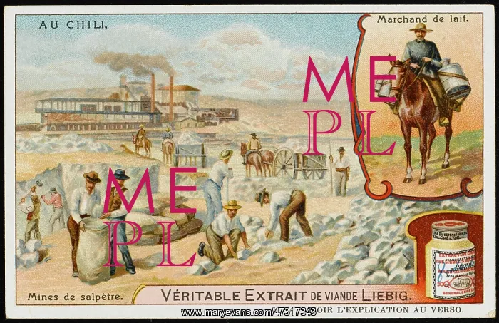  : Saltpetre Mining