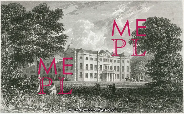 : Saltram House, Devon : Saltram House, Devon