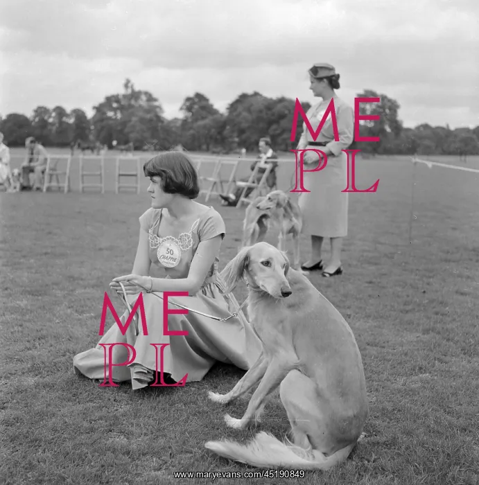  : Saluki Club