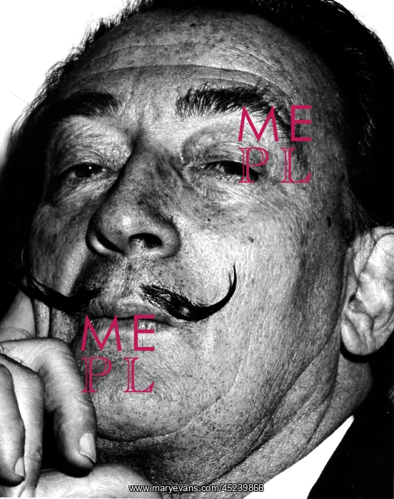: Salvador Dali : Salvador Dali