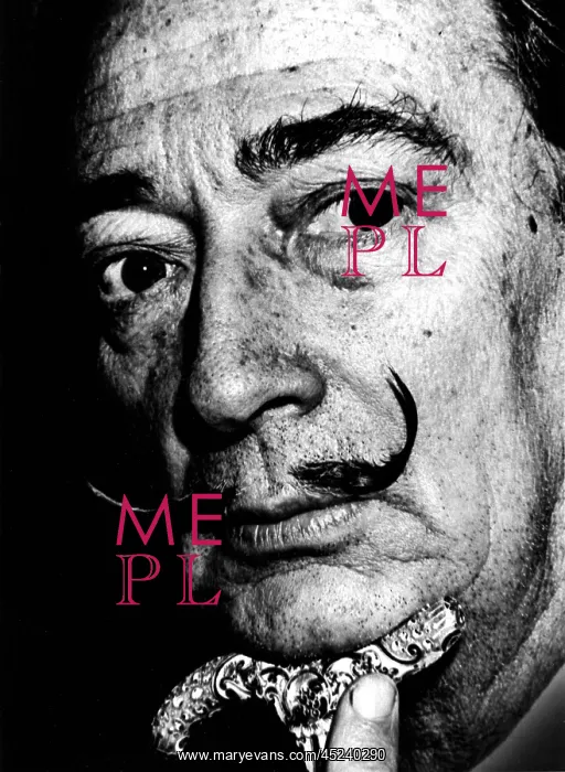 : Salvador Dali : Salvador Dali