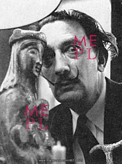 : Salvador Dali : Salvador Dali