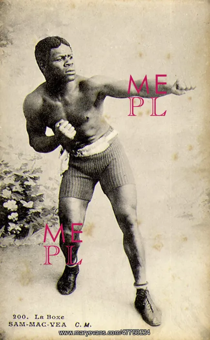  : Sam-Mac-Vea, French Boxer