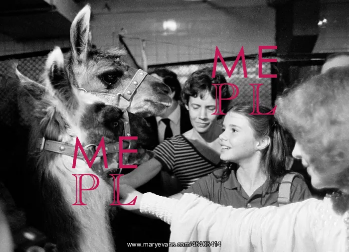 : Samantha Smith in Moscow, 1983 : Samantha Smith in Moscow, 1983