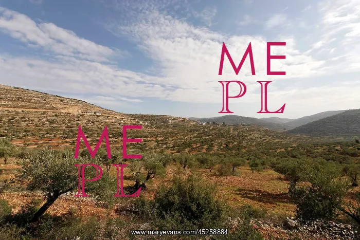  : Samaria, Levona valley