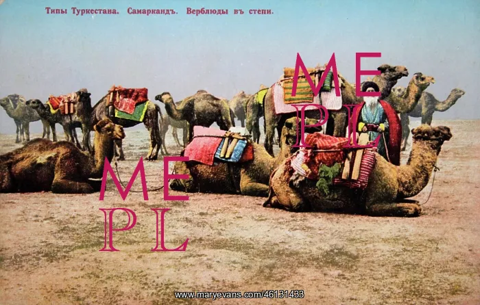 : Samarkand, Uzbekistan - Types of Turkestan : Samarkand, Uzbekistan - Types of Turkestan