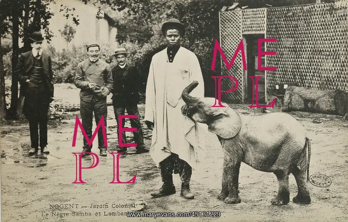 : Samba with elephant, 1907 Colonial Exhibition : Samba with elephant, 1907 Colonial Exhibition