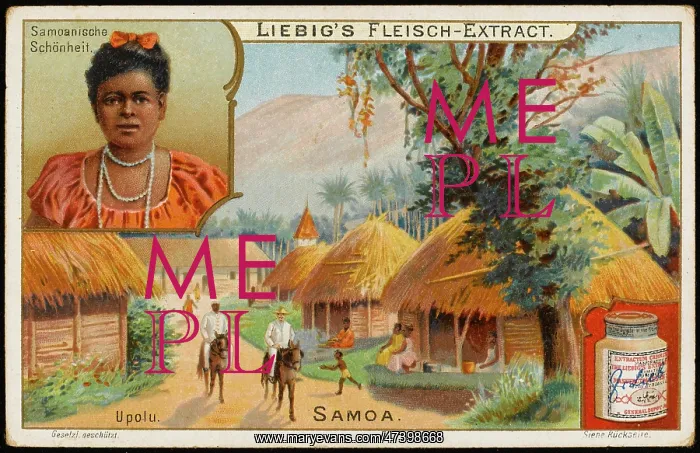 : SAMOA VILLAGE SCENE : SAMOA VILLAGE SCENE