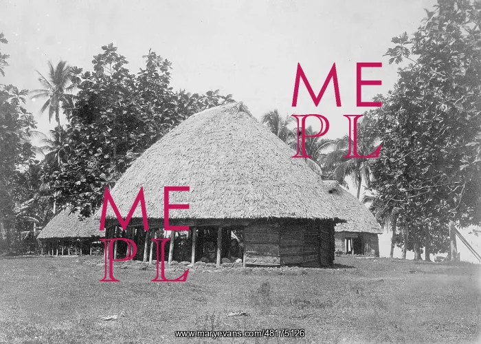 : Samoan representative house in Samoa, 1903 : Samoan representative house in Samoa, 1903