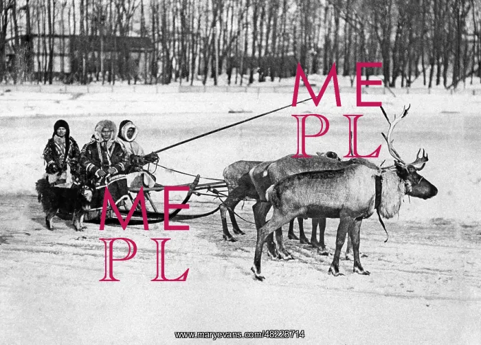 : Samoyedic people with reindeer sleigh, 1924 : Samoyedic people with reindeer sleigh, 1924
