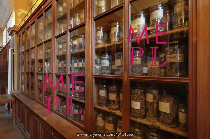 : Samples, Musee Francois Tillequin, Universite : Samples, Musee Francois Tillequin, Universite
