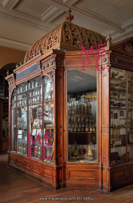 : Samples, Musee Francois Tillequin, Universite : Samples, Musee Francois Tillequin, Universite