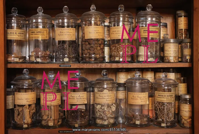 : Samples, Musee Francois Tillequin, Universite : Samples, Musee Francois Tillequin, Universite