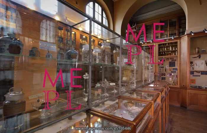 : Samples, Musee Francois Tillequin, Universite : Samples, Musee Francois Tillequin, Universite