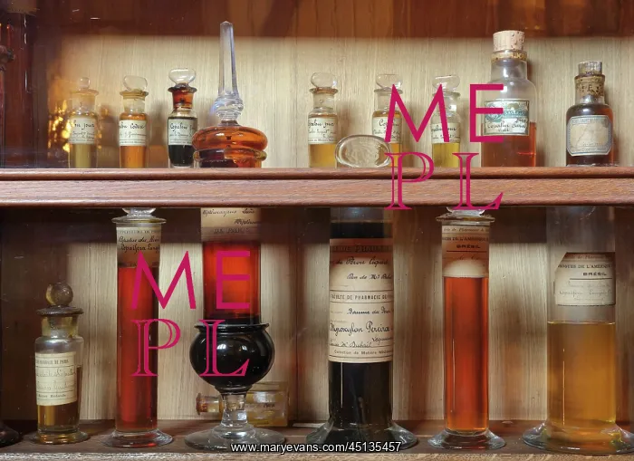 : Samples, Musee Francois Tillequin, Universite : Samples, Musee Francois Tillequin, Universite