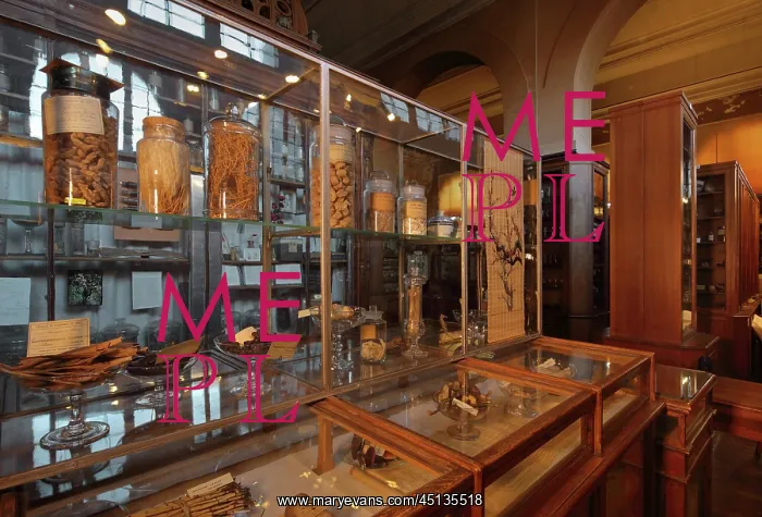 : Samples, Musee Francois Tillequin, Universite : Samples, Musee Francois Tillequin, Universite