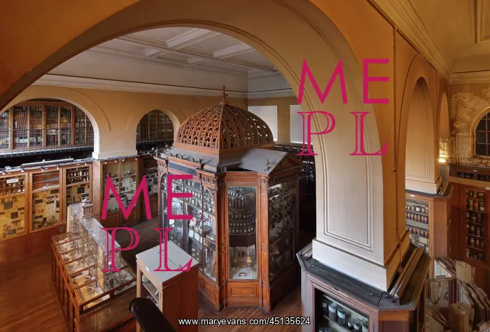 : Samples, Musee Francois Tillequin, Universite : Samples, Musee Francois Tillequin, Universite