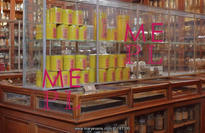 : Samples, Musee Francois Tillequin, Universite : Samples, Musee Francois Tillequin, Universite