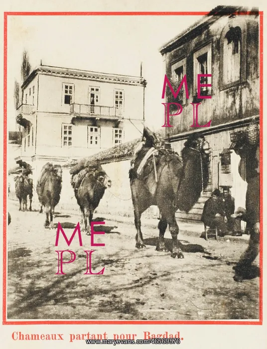: Samsun - Camel train leaves for Baghdad : Samsun - Camel train leaves for Baghdad