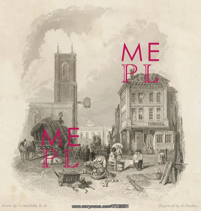 : SAMUEL JOHNSON / LICHFIELD : SAMUEL JOHNSON / LICHFIELD