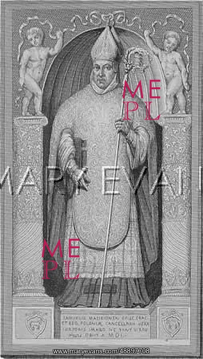 : SAMUEL MACIEJOWSKI : SAMUEL MACIEJOWSKI