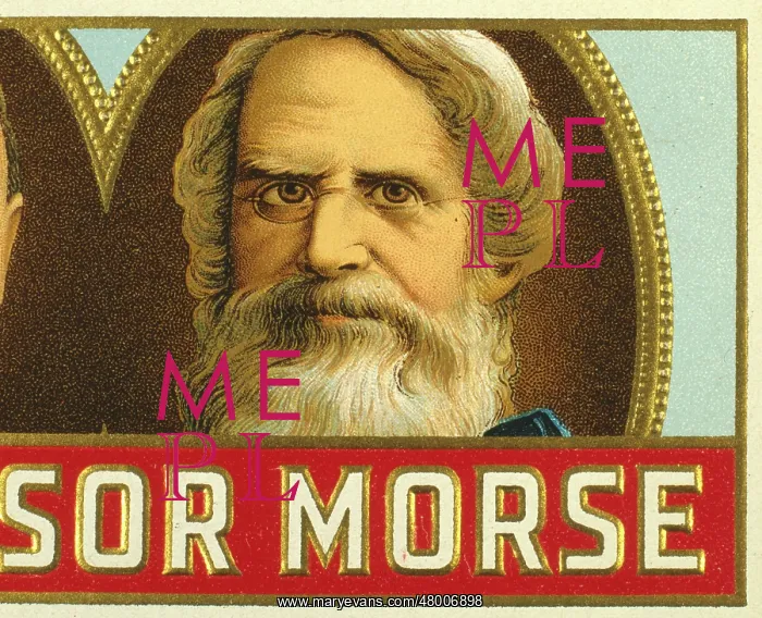: Samuel Morse, American inventor : Samuel Morse, American inventor