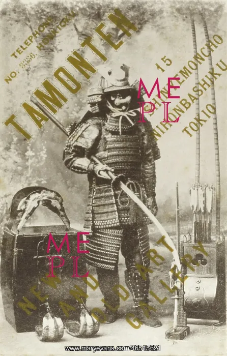 : Samurai Armour - Japan : Samurai Armour - Japan