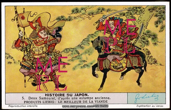 : SAMURAI ELEVATED : SAMURAI ELEVATED