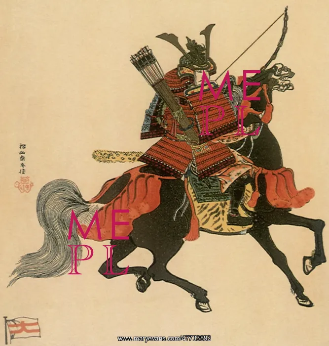  : Samurai Warrior