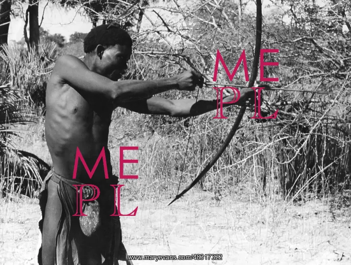: San archer in Namibia : San archer in Namibia