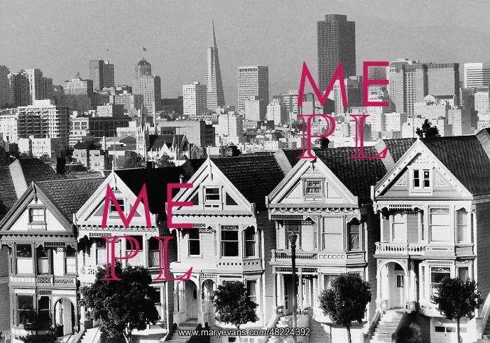 : San Francisco cityscape : San Francisco cityscape