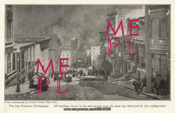 : SAN FRANCISCO FIRE : SAN FRANCISCO FIRE