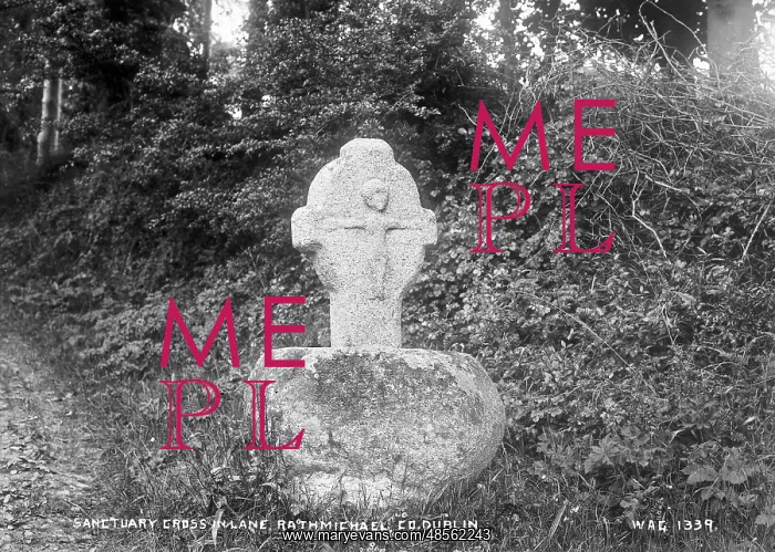 : Sanctuary Cross in Lane, Rathmichael, Co. Dublin : Sanctuary Cross in Lane, Rathmichael, Co. Dublin
