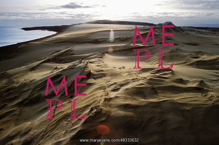 : Sand dunes on Curonian Spit, 1996 : Sand dunes on Curonian Spit, 1996